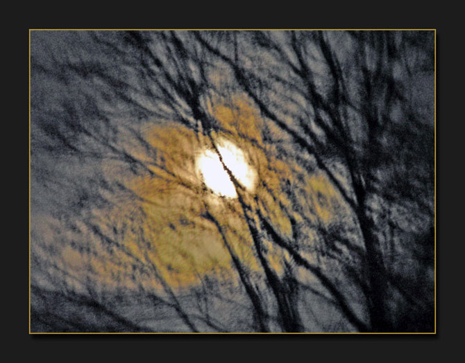 Moonlight 