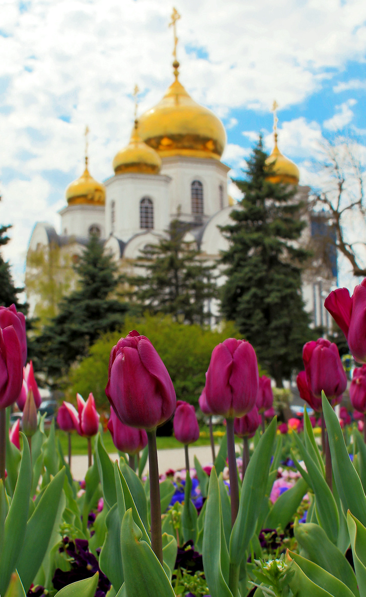 Цветы земные поют славу Тебе 
