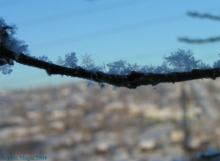 Снежинка Снежинка