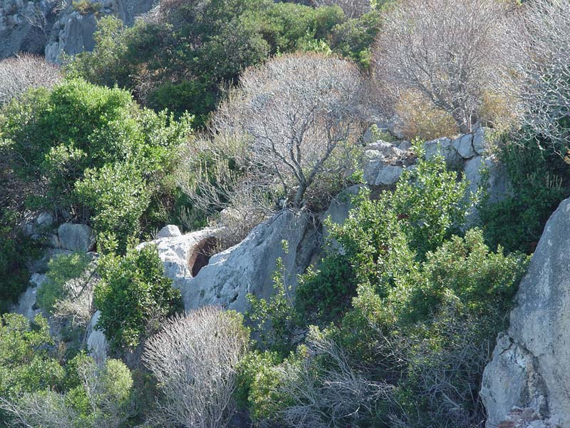artificial landscape 