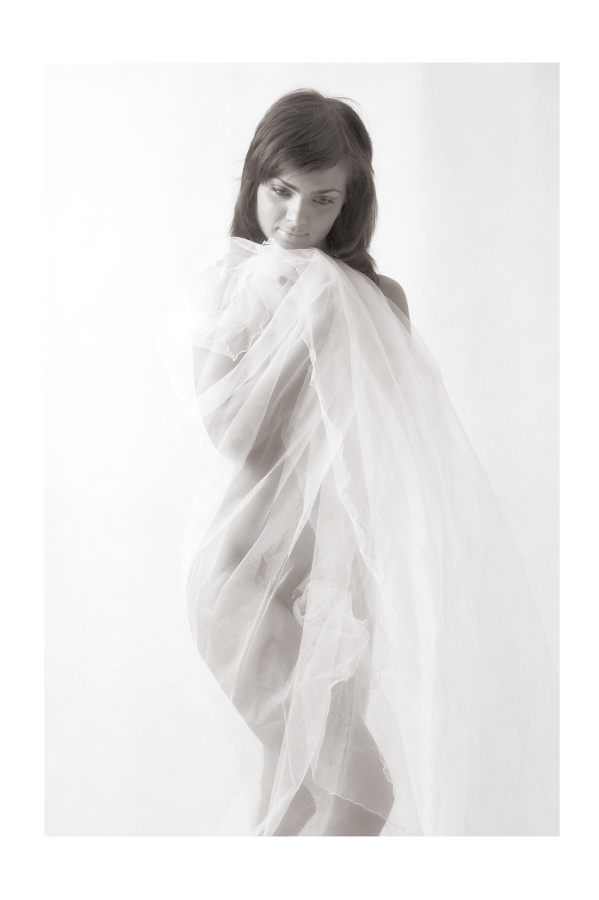 Veil 