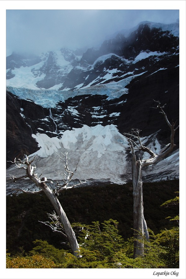 Вид на ледник Glacier Del Frances 
