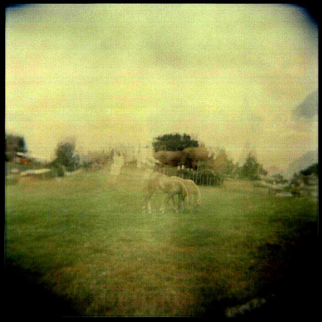 сон-2 holga