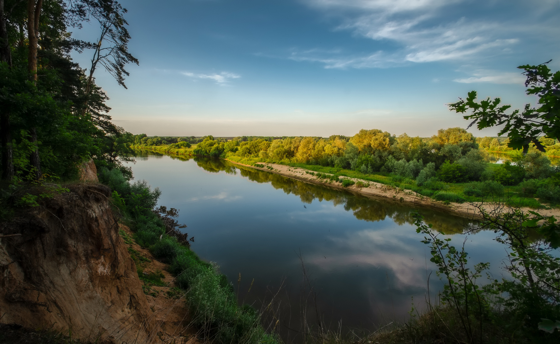 На высоком берегу река лето лес июнь берег