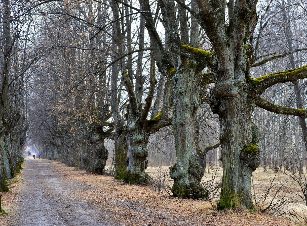 В парке весеннем...... 