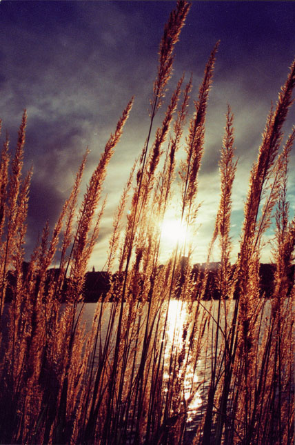 so end another day закат