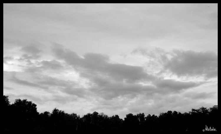 Overcast sky облака небо пасмурно