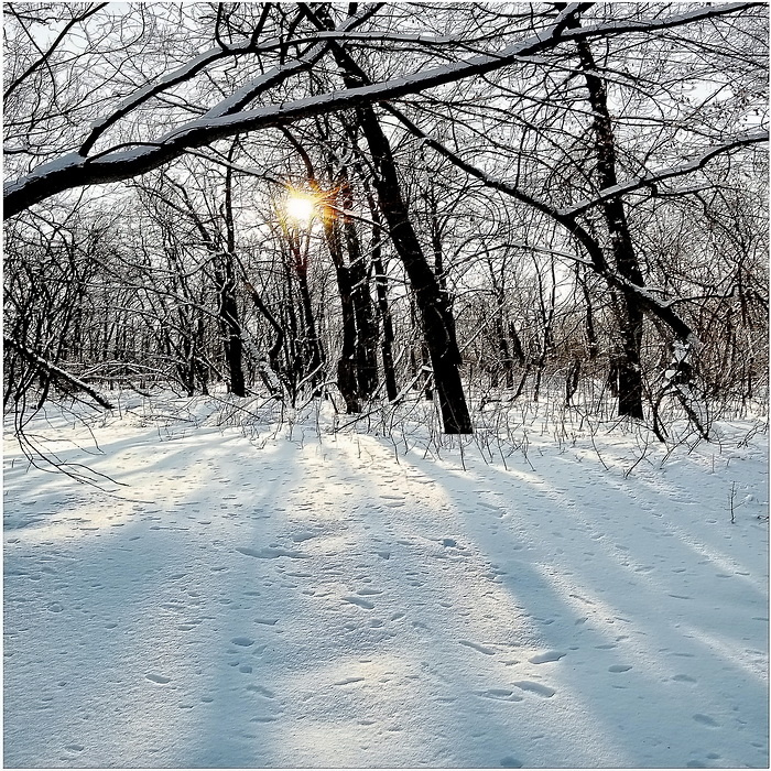  зимний полдень 