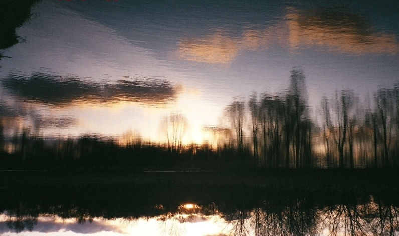 upside down reflection вода отражение