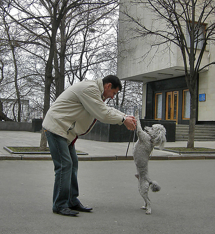 Держим спинку 
