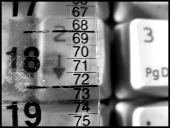 numbers 