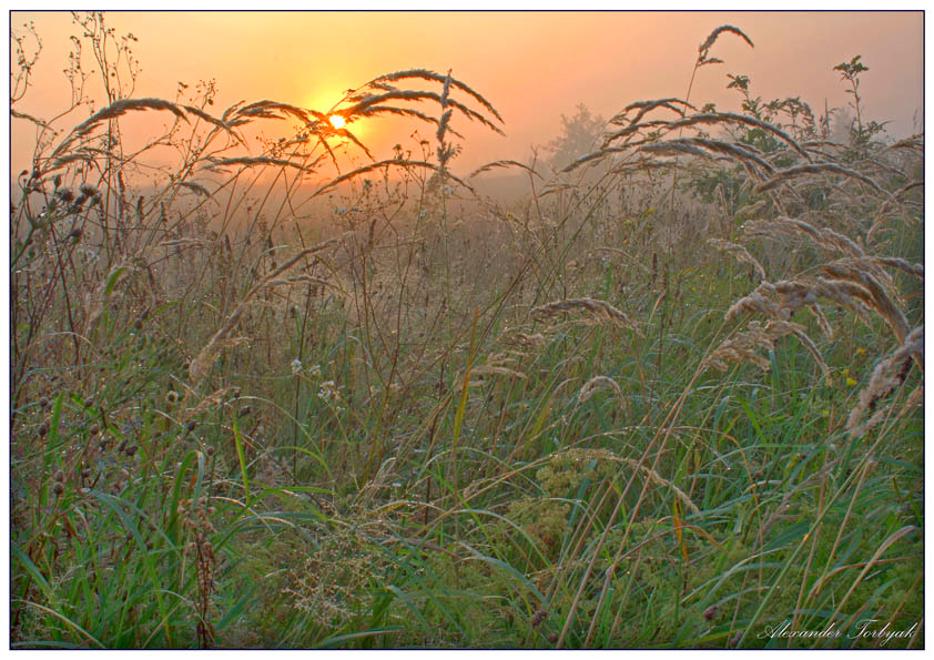 щас согреюсь и полечу HDR