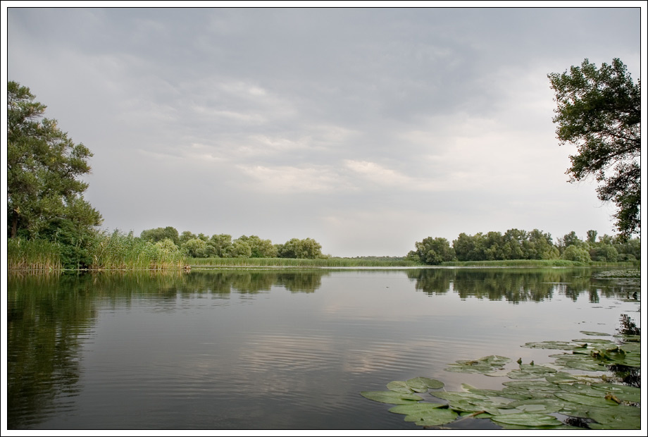 Днепр. Хортица. Плавни. Днепр Хортица плавни река