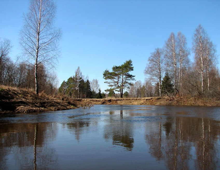 Вая. Поворот реки река вая нижегородская лес небо отражение лодка