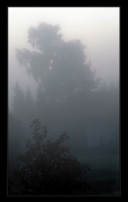 призраки.. призраки