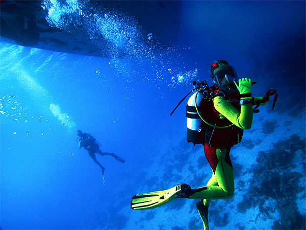 На планете Вода подводный мир diving underwater