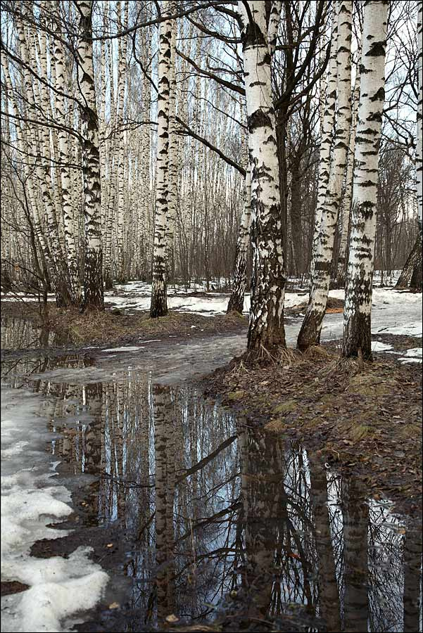 Запах весны 