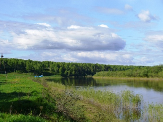 Сибирь речка