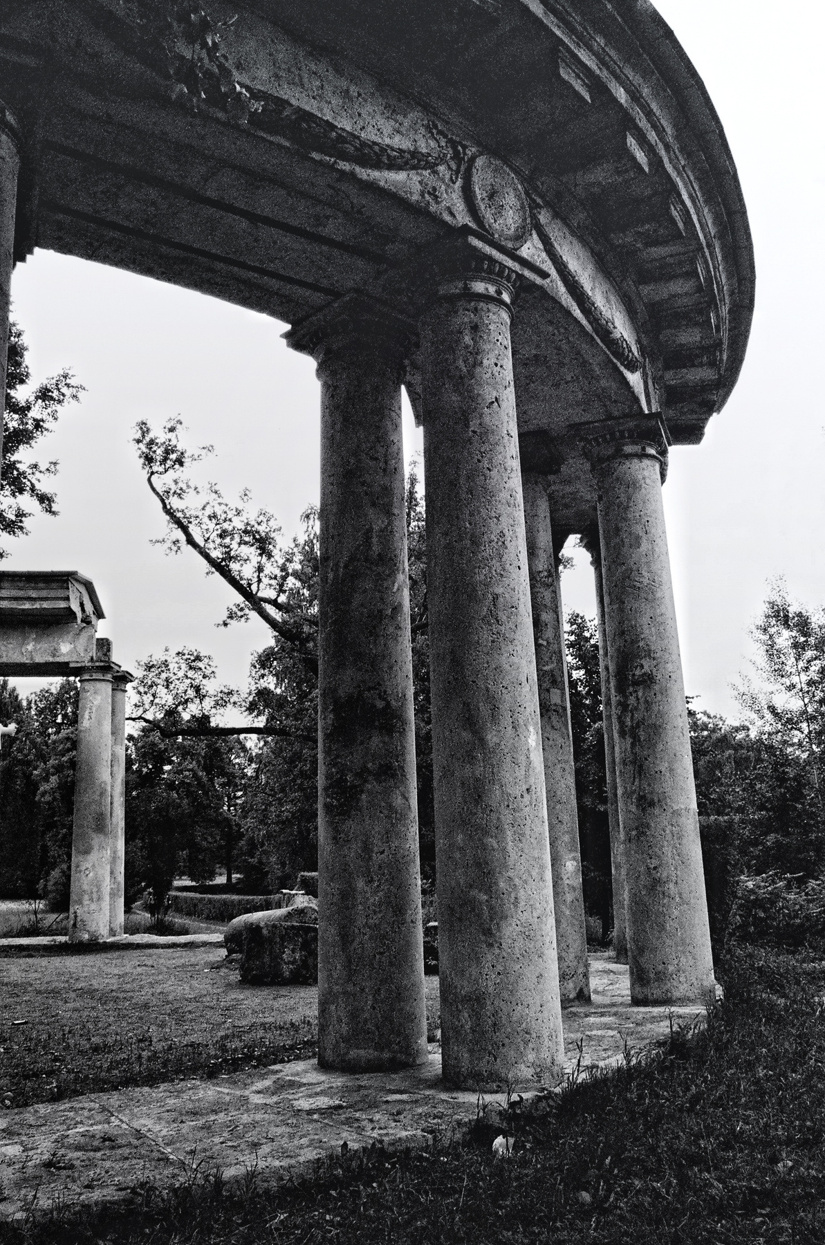 *** Павловск пленка ilford xp2 super
