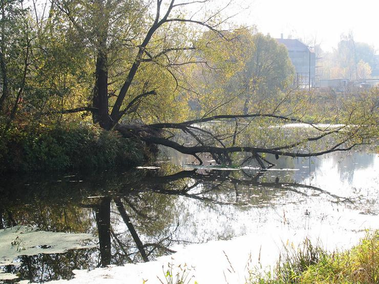 осень в Подмосковье осень, река