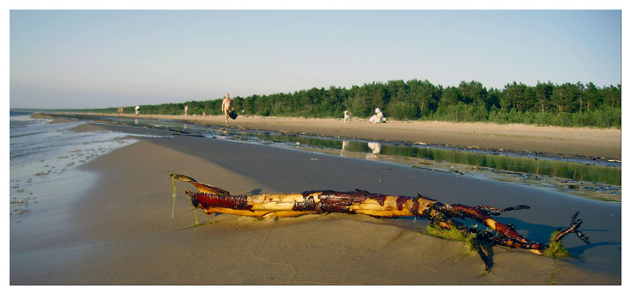 *** пляж, коряга, море