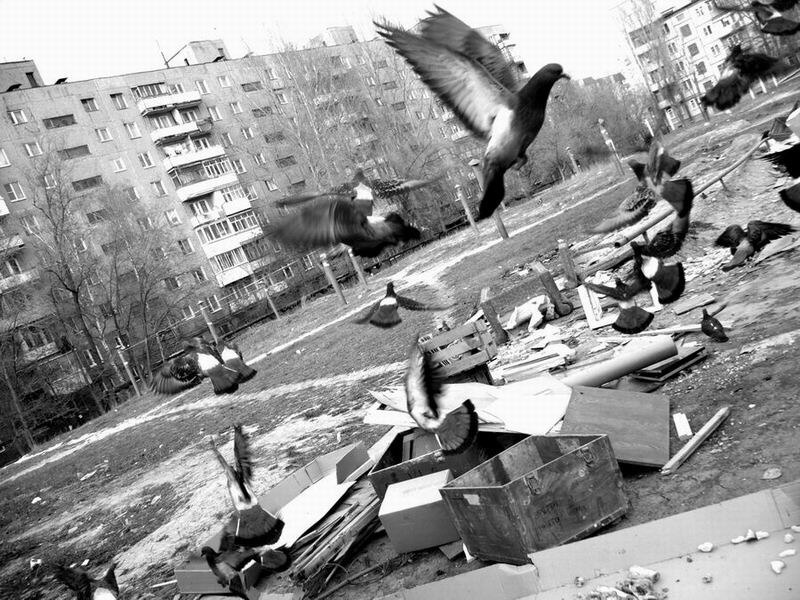 любовь и Г... 