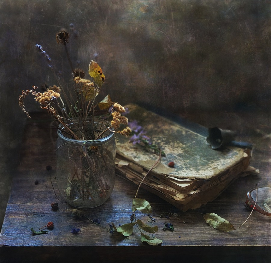 *** книга натюрморт банка