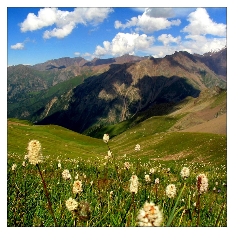 Последнее Чимбулак горы