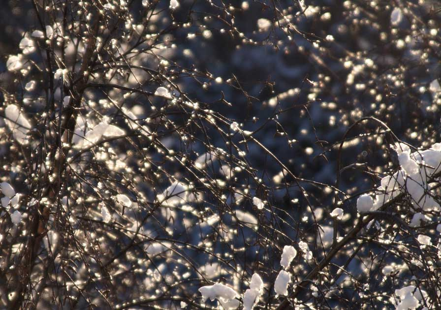  февральский хрусталь 