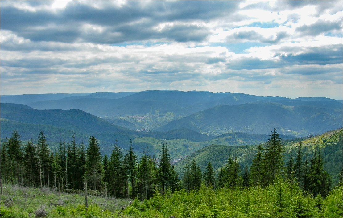 Schwarzwald. 2004 