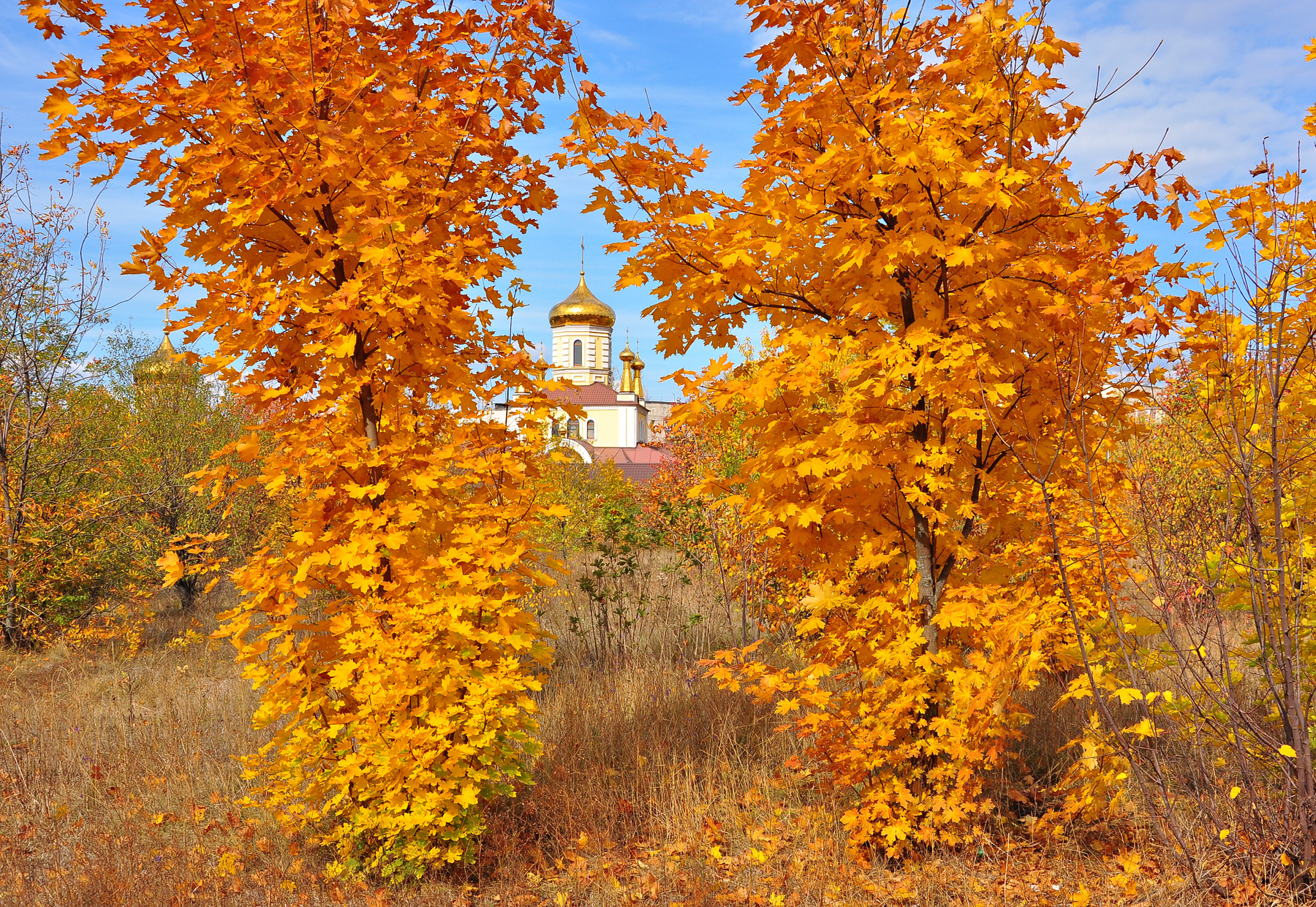 Осенняя зарисовка... 