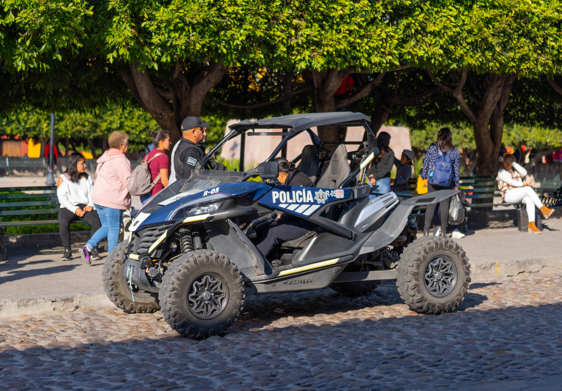 Policia Мексика полиция