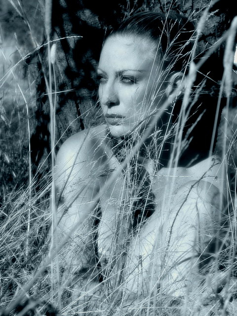 hidden 