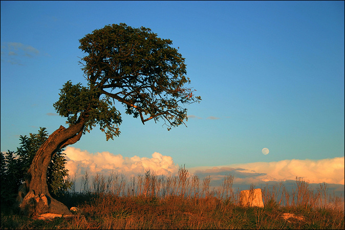 Fullmoon 