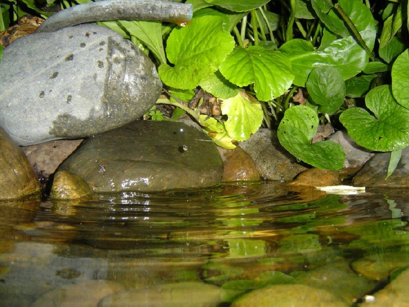 Водопадик природа, водопад