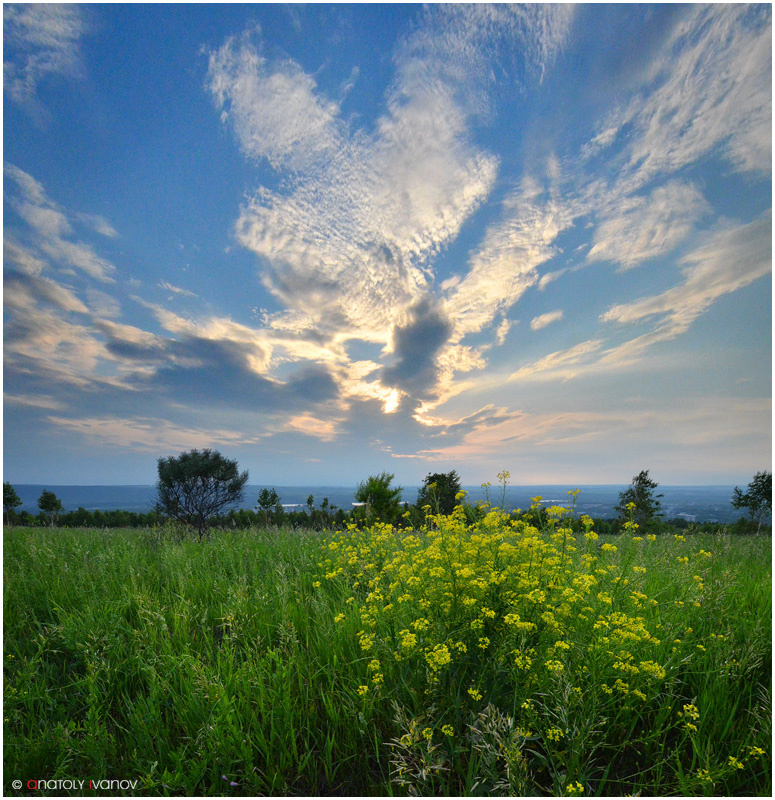 Воспоминания о лете пейзаж, лето, луг, небо