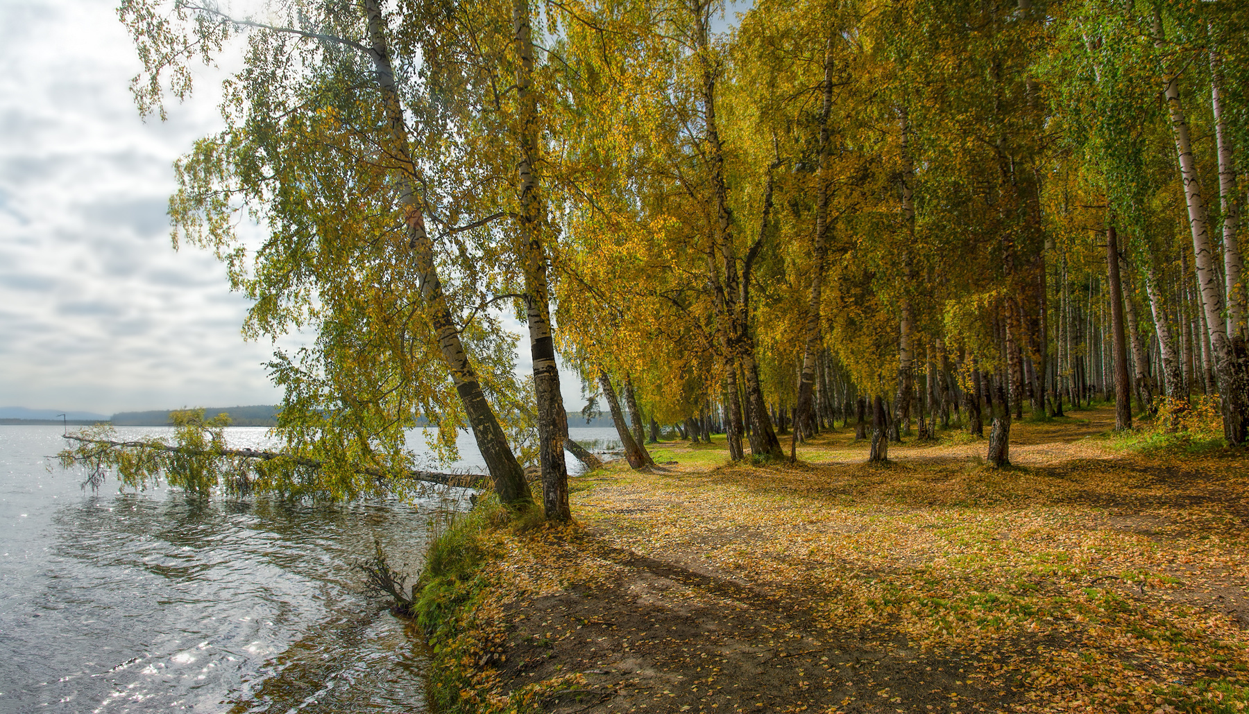 Осенний берег 