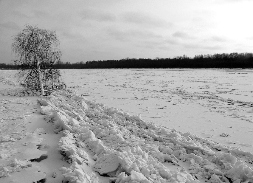 Последний месяц осени. ноябрь, Сысола, лед, осень.