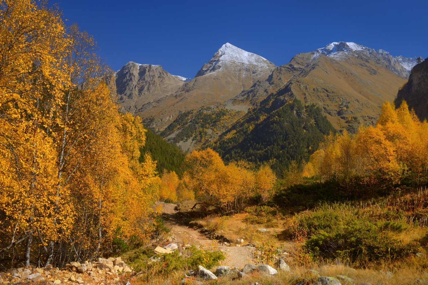 Осенний наряд горы Кавказ осень