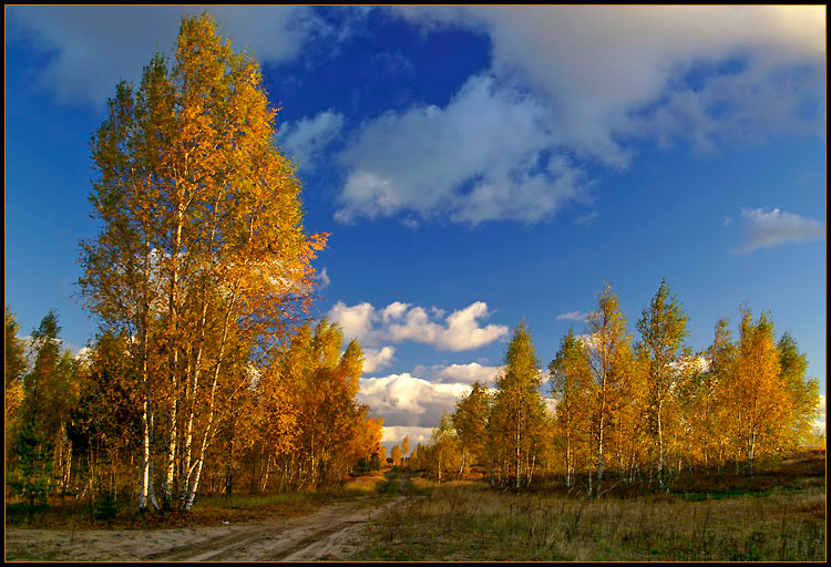 Осень осень настроение девушка