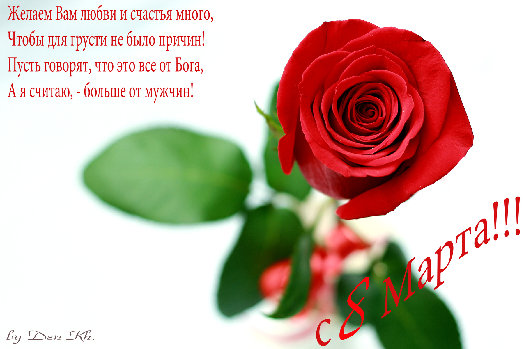 Roza.... 