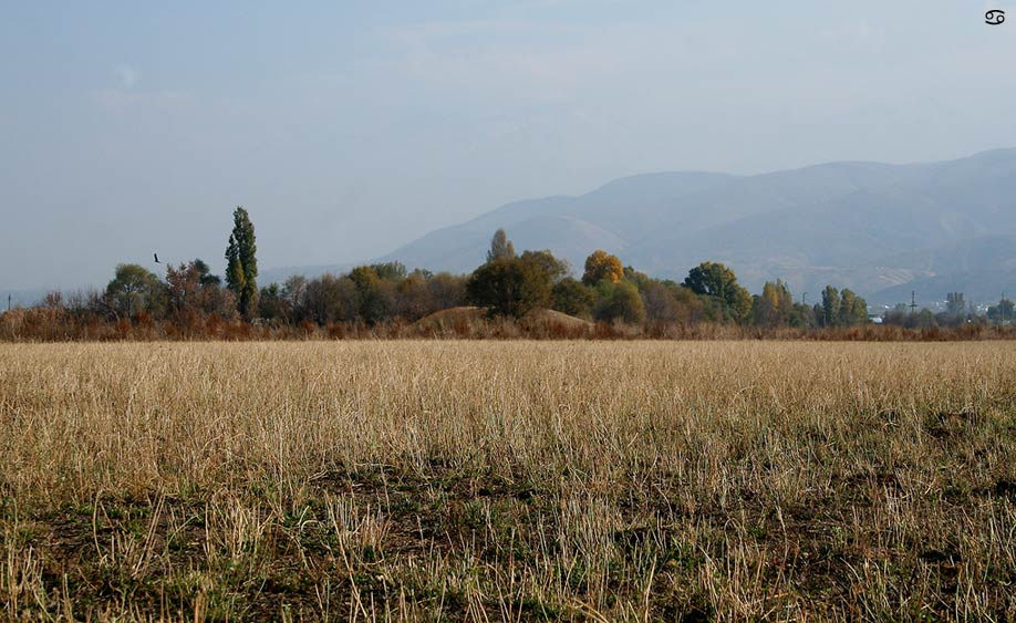 вчера была*осень Осень, поля
