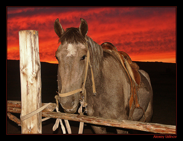 Байкал. Lucifer\'s horse. 