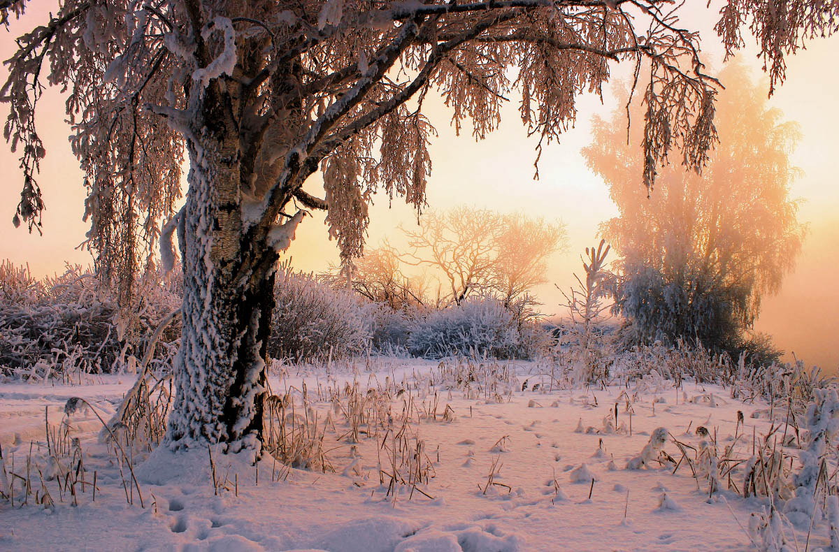 Природа. 