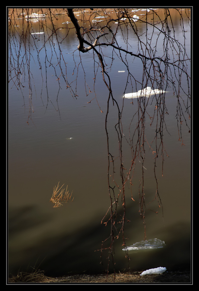Весенние мотивы... 