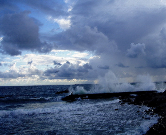 ***STORM*** 