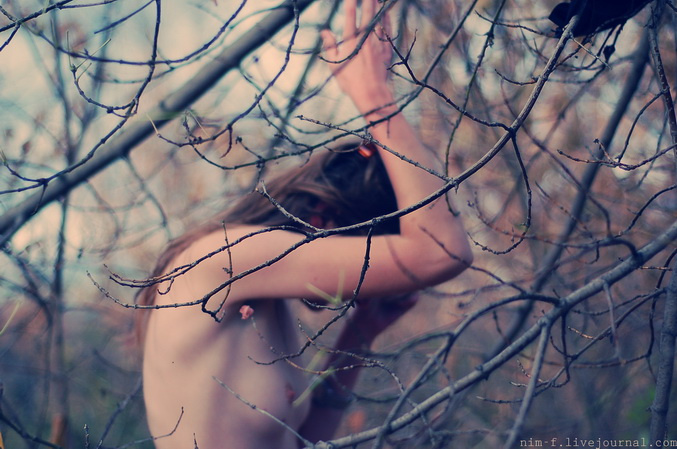 ornamenta 