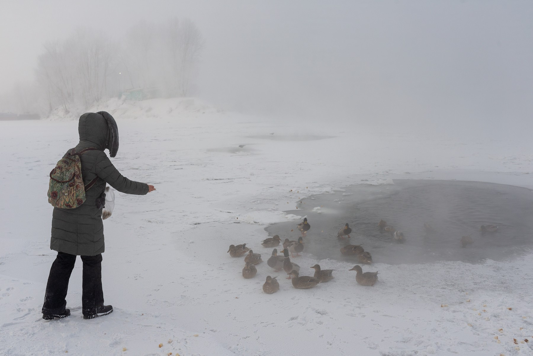 ** * Енисей холод Красноярск