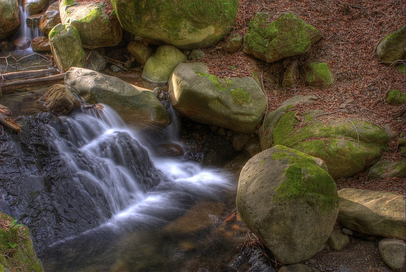 Uvas Canyon 