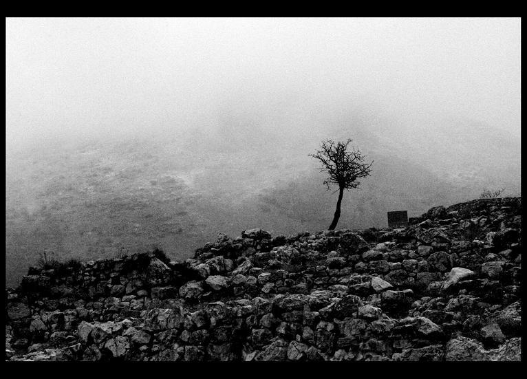 alone I break 